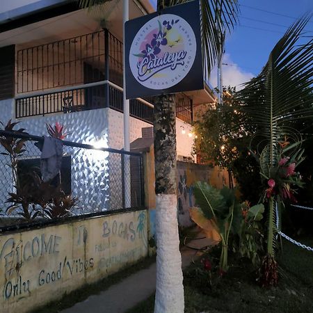 Cataleya Hostel Bocas del Toro Buitenkant foto
